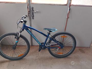 Rampichino con cambio