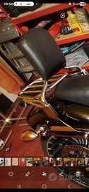 sissybar Harley Davidson