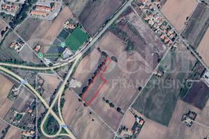 Terreno Agricolo Gubbio [TERRAGFRATELUPO45VCG]