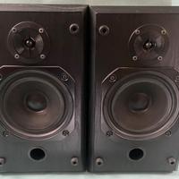 CASSE ACUSTICHE BOWER & WILKINS B&W VISION DS1