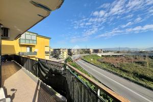 3 LOCALI A ORTA DI ATELLA