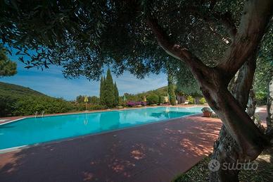 Appartamento bilocale