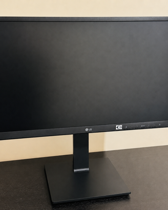 Monitor LG da 24 pollici