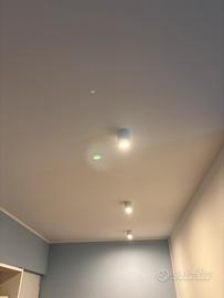 2 faretti tondi con fascio di luce orientabile