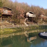 San valentino - case sull'albero