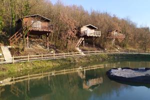 San valentino - case sull'albero