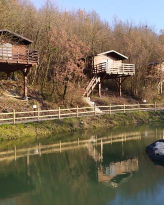 San valentino - case sull'albero