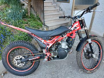 Beta evo 300