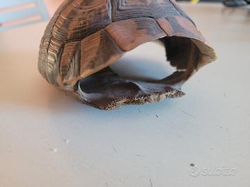 oggetto di arredamento 