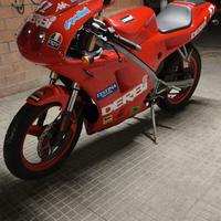 Derbi gpr