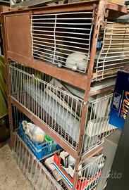 Gabbia galline o conigli