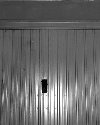 PORTA BASCULANTE per garage