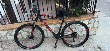 bicicletta whistle 27,5