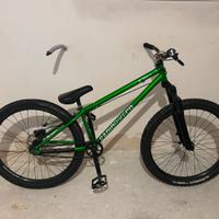 Bici da dirt