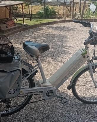 Bicicletta elettrica a pedalata assistita
