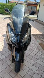 Scooter DownTown 300