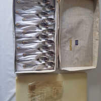 Kit cucchiaini da dessert