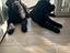 Immagine 5