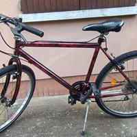 Mountain bike Unica cambio Shimano sis 26 pollici