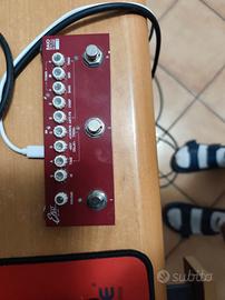 eko baio acustic