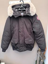 Canada goose - taglia M