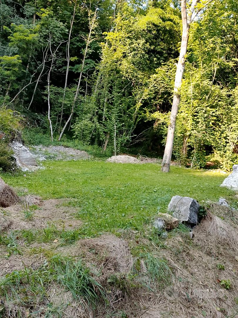 Il Prato nel bosco - Vista 3