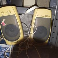 Schermo computer vintage con casse.