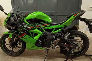 Kawasaki Ninja 125 - 2024