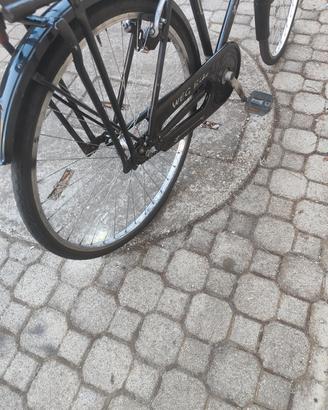 bicicletta 