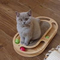 Cuccioli British Shorthair