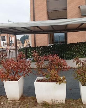gazebo 5x4 