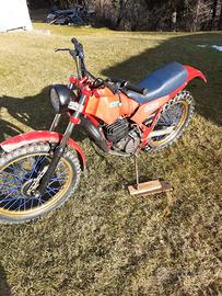 Beta TR 32 240 - 1984