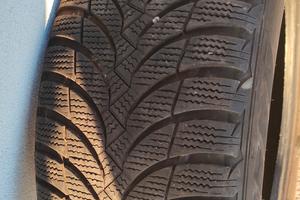 Pneumatici Nexen 205 55 16