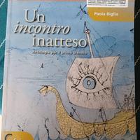 Un incontro inatteso