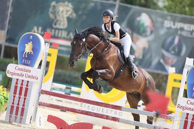Cavallo
