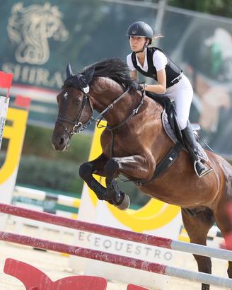 Cavallo
