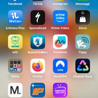 iPhone 16 pro Max 256gb  batteria 98%