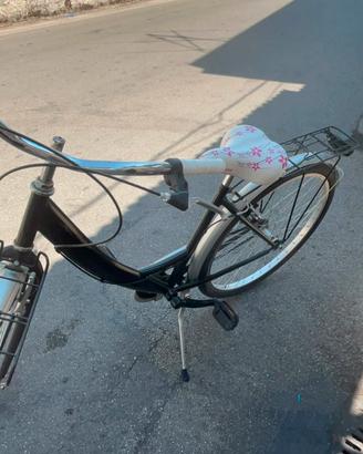 bicicletta 