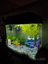 aquario 16l completo 