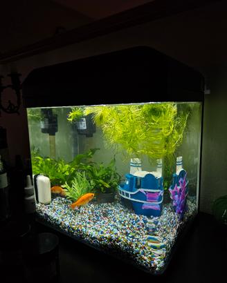aquario 16l completo 