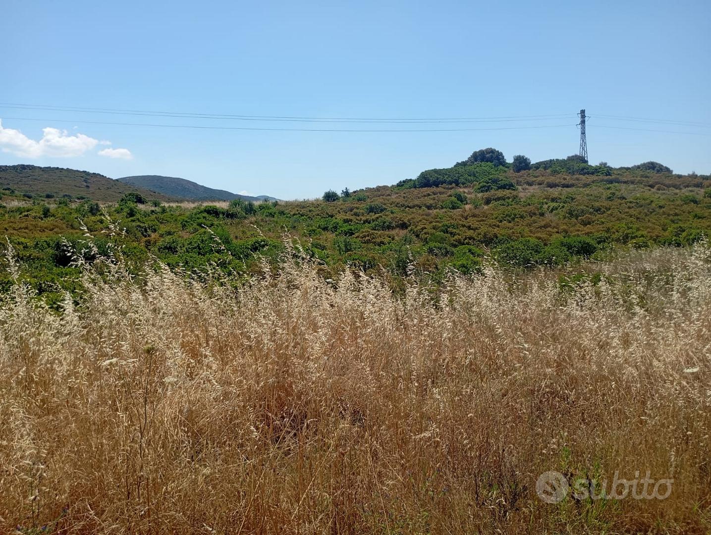 Donori: Terreno agricolo Località Sa Roja Fridrigu - Vista 2