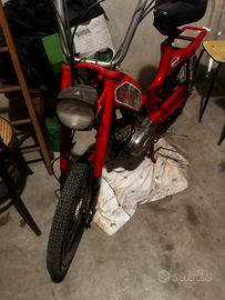 Califfo deluxe cesare rizzato