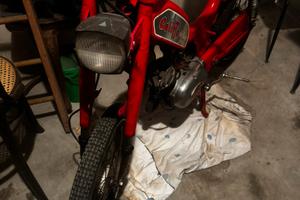 Califfo deluxe cesare rizzato