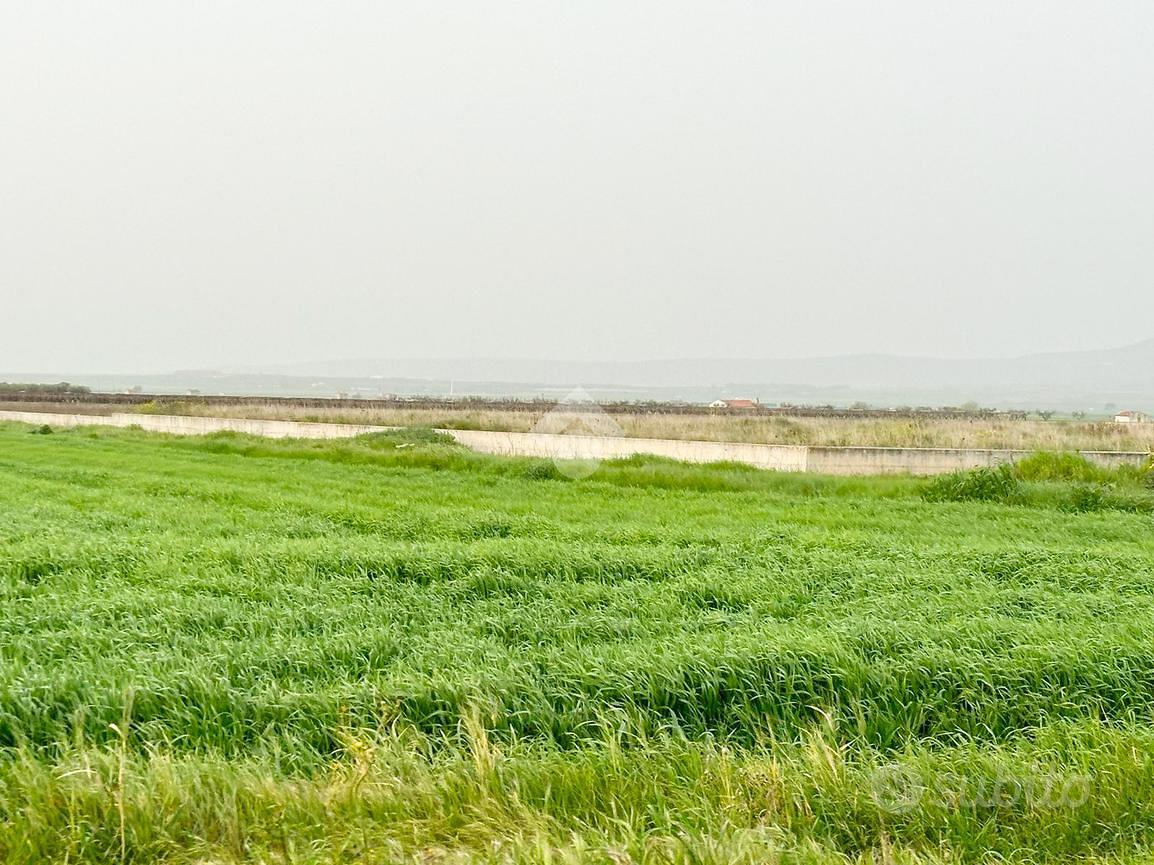 TER. AGRICOLO A SAN SEVERO - Vista 4