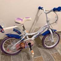 Bicicletta bambina 3/5 anni