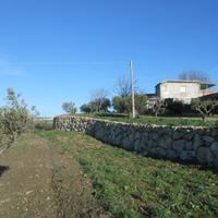 Terreno, ruderi e uliveto c/da Valle (Gibl Gabib)