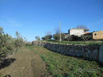 Terreno, ruderi e uliveto c/da Valle (Gibl Gabib)