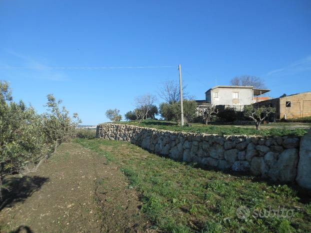 Terreno, ruderi e uliveto c/da Valle (Gibl Gabib)