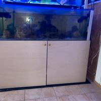 Acquario marino