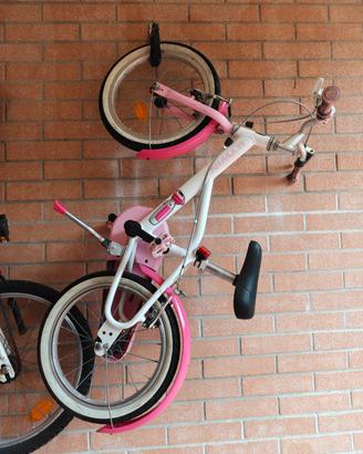 Bici Bambina 4-7 Anni